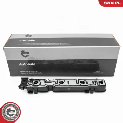 Glühbirnenhalter, Heckleuchte Montage Ford TRANSIT Bus · Ford TRANSIT Van · Ford TRANSIT Plattform/Chassis
