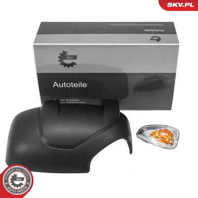 Abdeckung, Außenspiegel Nissan NV400 Van · Nissan NV400 Bus · Nissan NV400 Plattform/Chassis