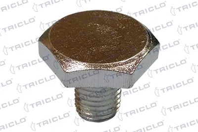 Schraubenstecker, Ölsumpf Citroën XANTIA · Citroën EVASION MPV · Citroën C15 Box Body/MPV