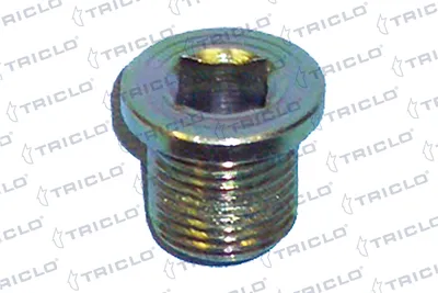 Schraubenstecker, Ölsumpf Renault ESPACE I · Renault 12 · Renault 18