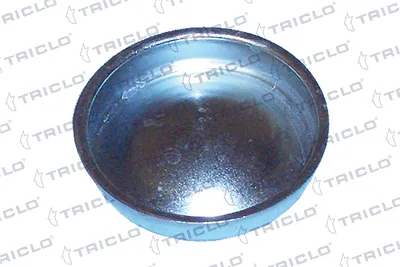 Schutzdeckel, Radnabe Citroën ZX · Citroën AX · Citroën SAXO