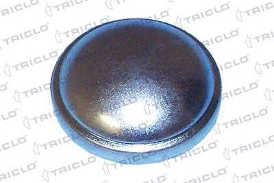 Schutzdeckel, Radnabe Ford ESCORT V · Ford ESCORT V Turnier · Ford ESCORT V Limousine