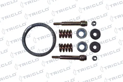 Satz Dichtungen, Auspuffanlage TRICLO 352871