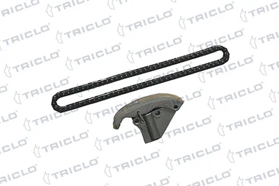 Kette, Ölpumpenantrieb TRICLO 428708