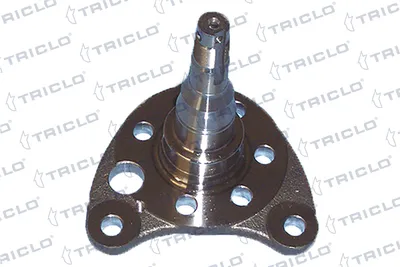 Lenkknöchel, Radaufhängung Seat CORDOBA · Seat TOLEDO I · Seat IBIZA II