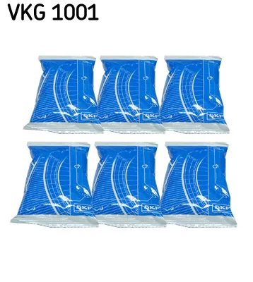 SKF VKG 1001 Fett