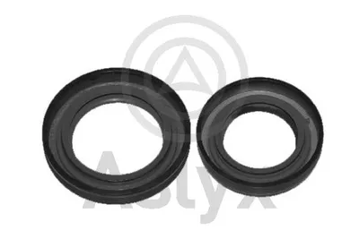 Schachtdichtung, Differential Citroën C5 I