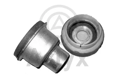 Buchsen, Achsstrahl Peugeot 406 · Peugeot 406 Break · Peugeot 406 Coupe