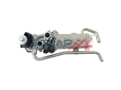 Ventil, Abgasrückführung Skoda ZIMSTER · Skoda FABIA II · Skoda FABIA II Combi