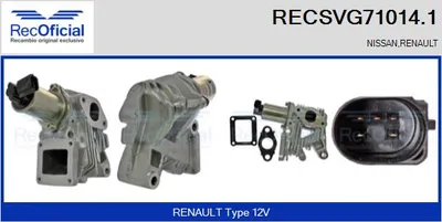 EGR-Ventil Renault MEGANE II · Renault SCÉNIC II · Renault MEGANE II Coupé-Cabriolet