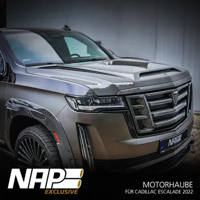 Motorhaube NAP CarPARTS HOO1200001