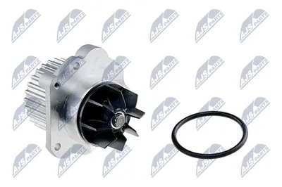 Wasserpumpe, Motorkühlung Fiat ULYSSE · Lancia PHEDRA · Peugeot 406
