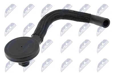 Ventil, Kurbelgehäuse Belüftung Renault KANGOO · Renault CLIO II · Renault KANGOO Express