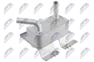 Heizkörper, Antriebsbatterie Hyundai IONIQ