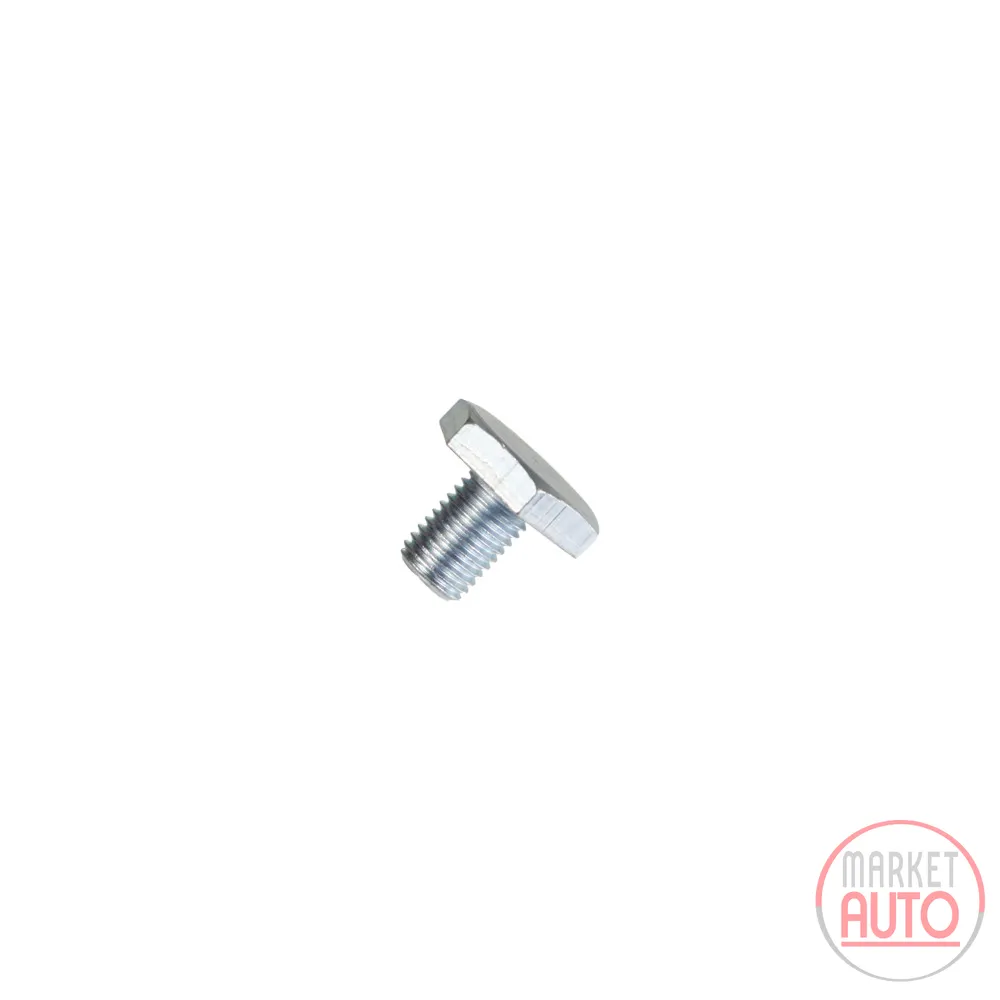 labla screw M10 X 1.25 L=13 mm SW=22