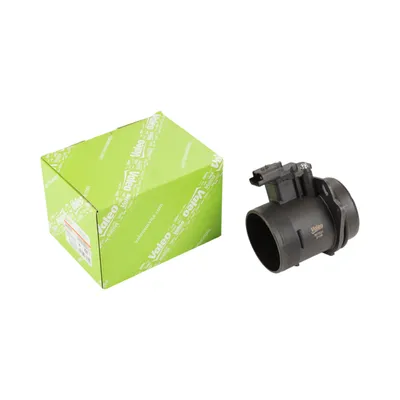 Air mass meter