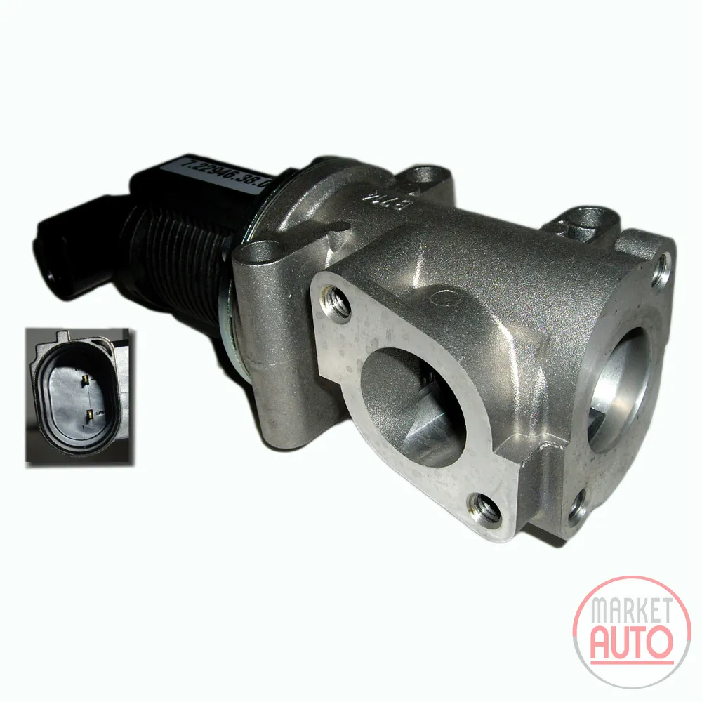 EGR valve (exhaust air circulation system) with seals