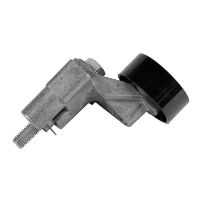 Flat belt pulley with tension arm