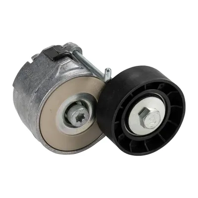 Flat belt tensioner with tension arm DAYCO