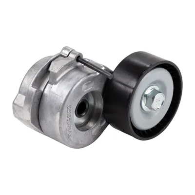 Flat belt tensioner NTN-SNR