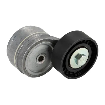 Flat belt tensioner with tension arm DAYCO