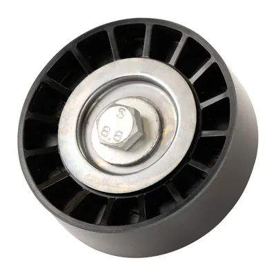 Flat belt pulley with climate DAYCO