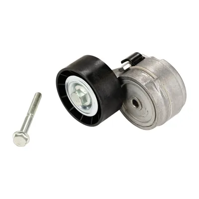 Flat belt tensioner with tension arm DAYCO