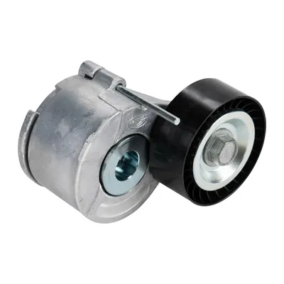 Tensioner pulley V-ribbed belt DAYCO