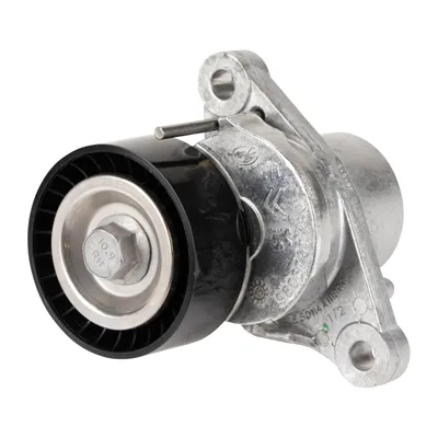 Tensioner pulley PSA OE (1613255380)