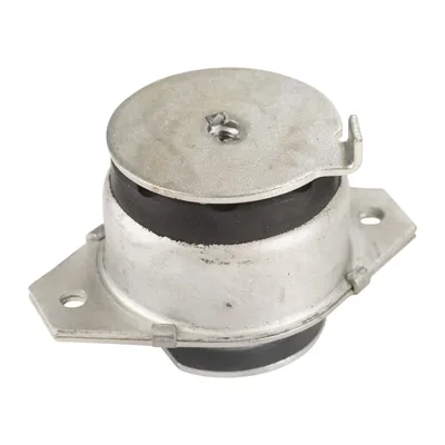Gearbox mount front left