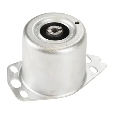 Engine mount front left