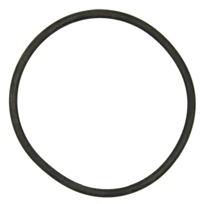 O-ring gear guide