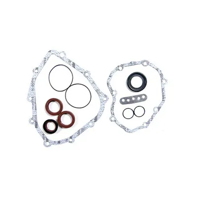 Gearbox seal kit with Wedi