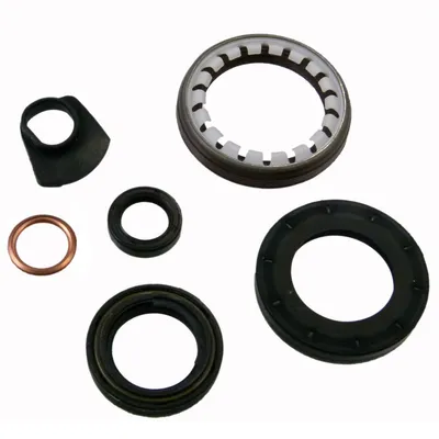 Gearbox seal kit with Wedi