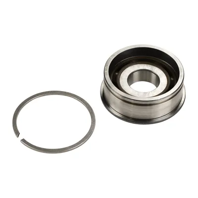 Gearbox bearing main shaft rear NTN-SNR