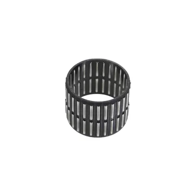 Roller cage gearbox bearing