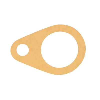 Speedometer drive seal