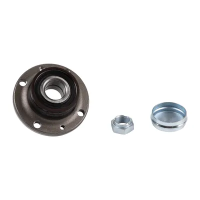 Wheel bearing kit with ABS ring