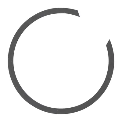 Retaining ring wheel bearing front
