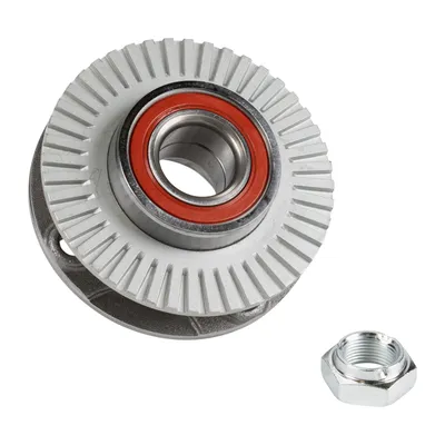 Wheel hub kit with rear wheel bearing with ABS