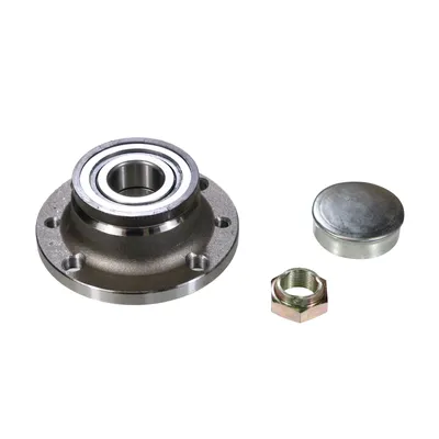 Wheel hub kit with rear wheel bearing