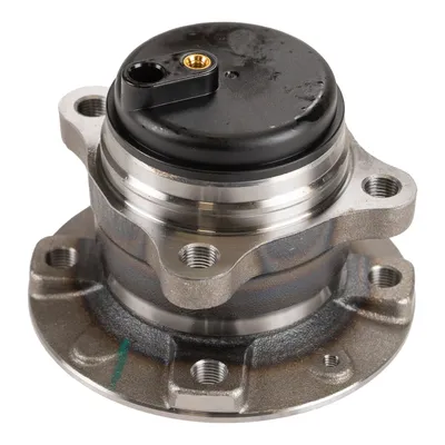 Rear wheel hub