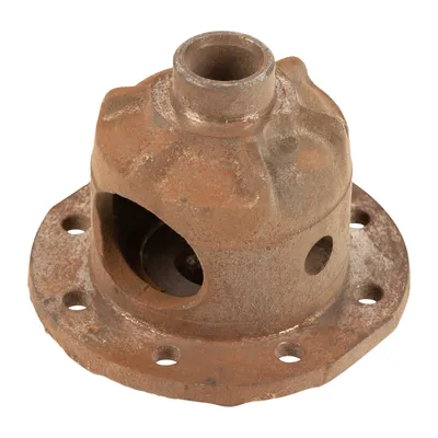 Differential cage inside