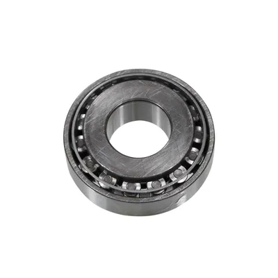 Front differential input bearing