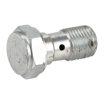 Hollow screw M10 X 1.00 mm thread L=26 mm
