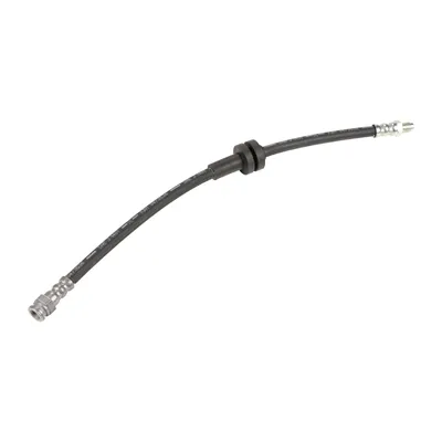 Brake hose rear L=407 mm 2X M10 X 1.00 mm thread