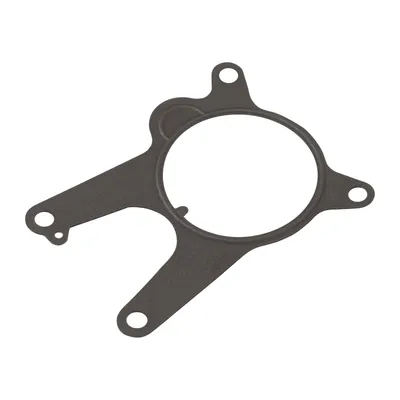Seal for the vacuum pump
