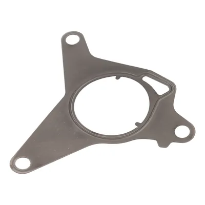 Seal for the vacuum pump