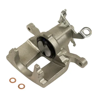 Brake caliper rear left large brake