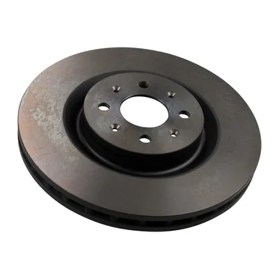 Brake disc internally ventilated 305 mm
